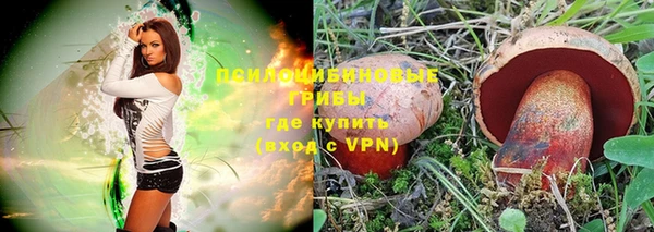 синтетический гашиш Костерёво