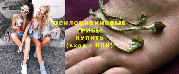 синтетический гашиш Костерёво