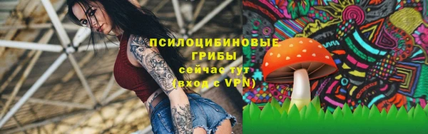 mdpv Корсаков