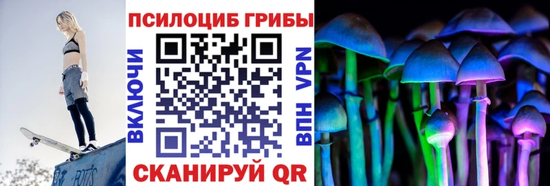 Галлюциногенные грибы MAGIC MUSHROOMS  Купить  Тогучин 